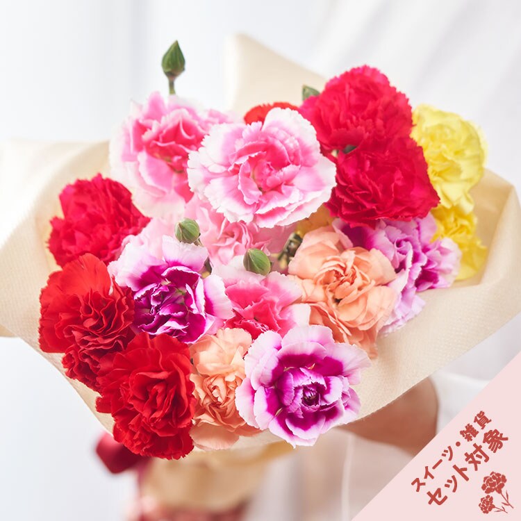 美しブーケ 7色カーネーション 21年 Oisix母の日ギフト特集