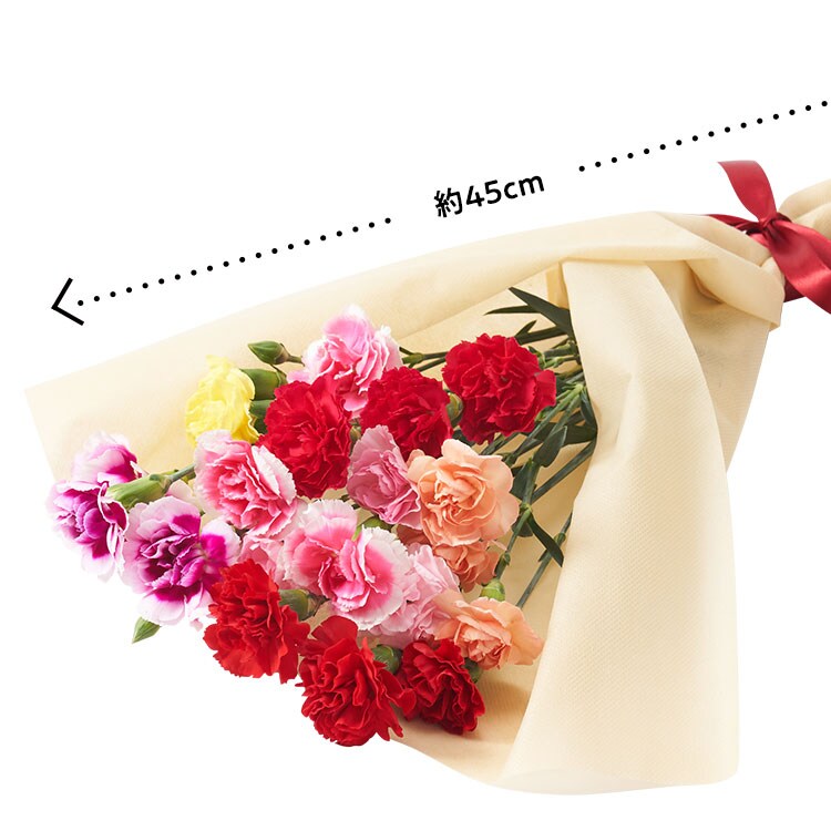 美しブーケ 7色カーネーション 21年 Oisix母の日ギフト特集