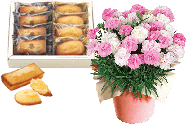 アンリ シャルパンティエ フィナンシェ マドレーヌ詰合せ 21年 Oisix母の日ギフト特集