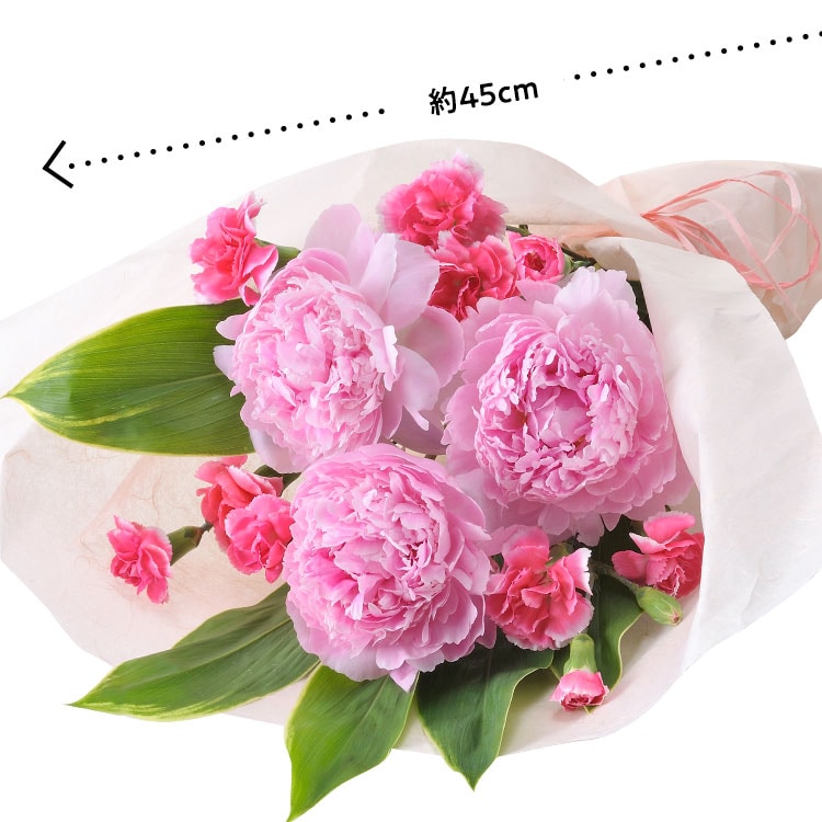 美しブーケ 芍薬 カーネーション 21年 Oisix母の日ギフト特集 美しブーケ 芍薬 カーネーション 21年 Oisix母の日ギフト特集