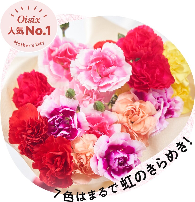 Oisix母の日2021 ｜ 2021年 Oisix母の日ギフト特集