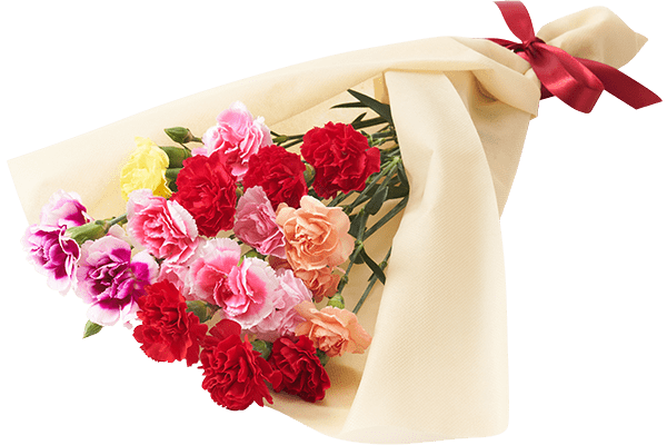 美しブーケ 7色カーネーション 22年 Oisix母の日ギフト特集