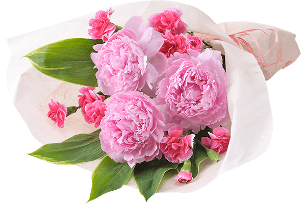 美しブーケ 芍薬 カーネーション 22年 Oisix母の日ギフト特集