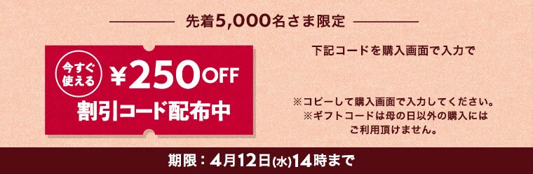 今すぐ使える割引コード配布中