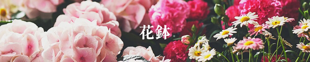 Ԕ