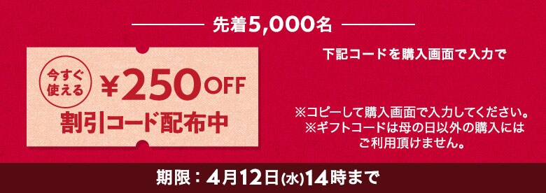 今すぐ使える割引コード配布中