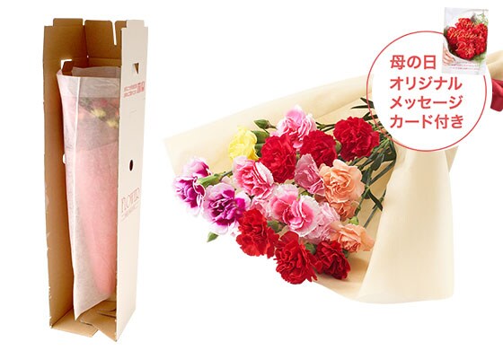 美しブーケ 7色カーネーション お届けイメージ