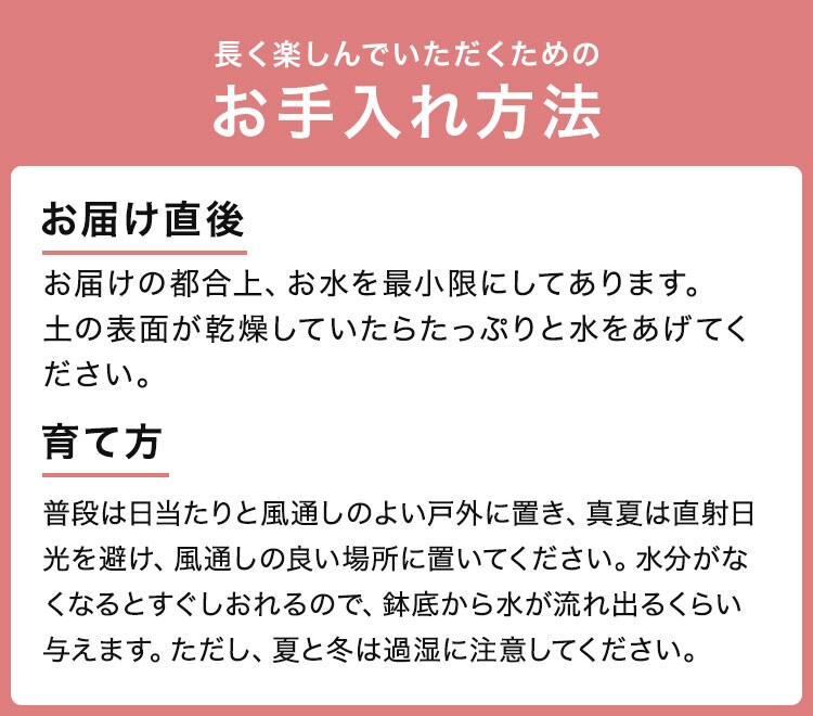 XC_[摜5