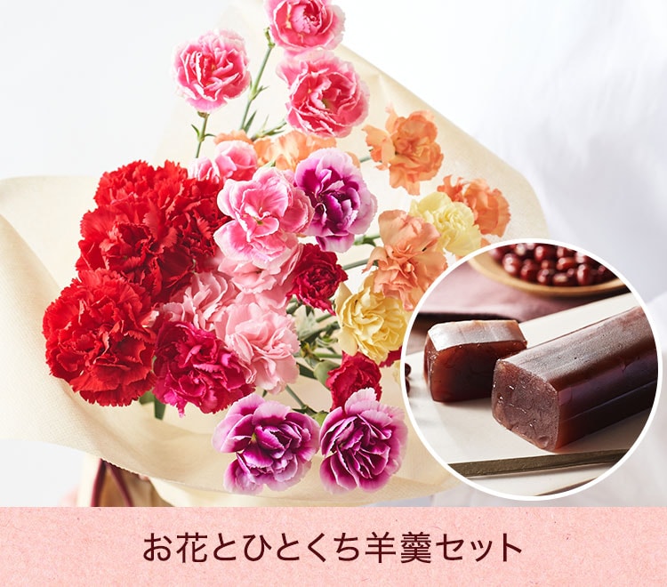 7色カーネーション＋ひとくち羊羹 ｜ 2023年 Oisix母の日ギフト特集