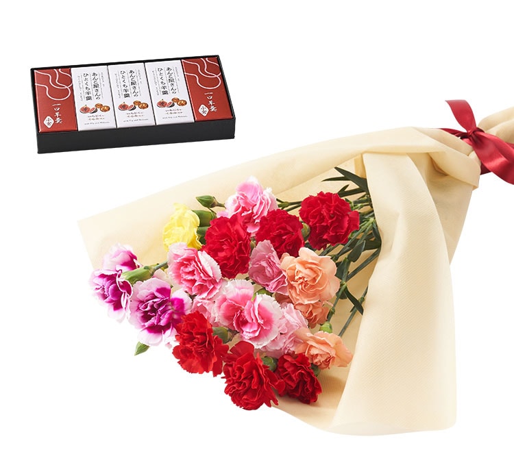 7色カーネーション＋ひとくち羊羹 ｜ 2023年 Oisix母の日ギフト特集