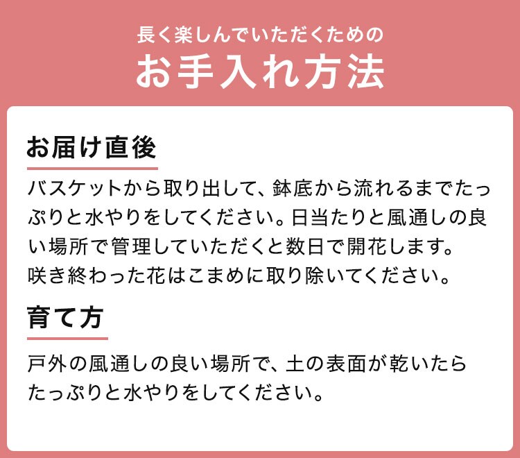XC_[摜5