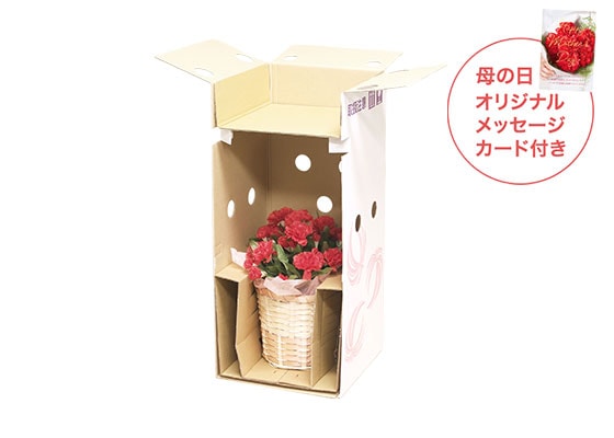 スタンディングブーケ+ 和菓子3種詰め合わせ お届けイメージ
