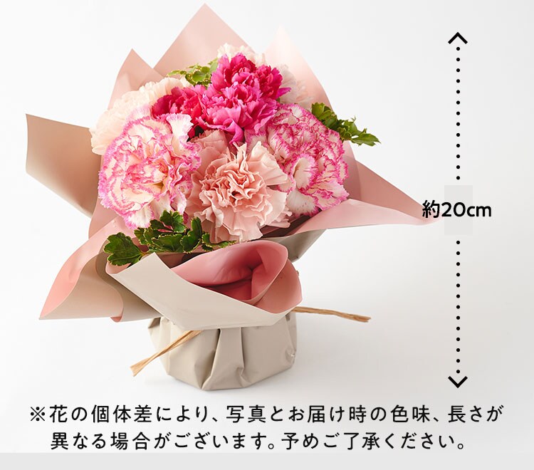 XC_[摜5