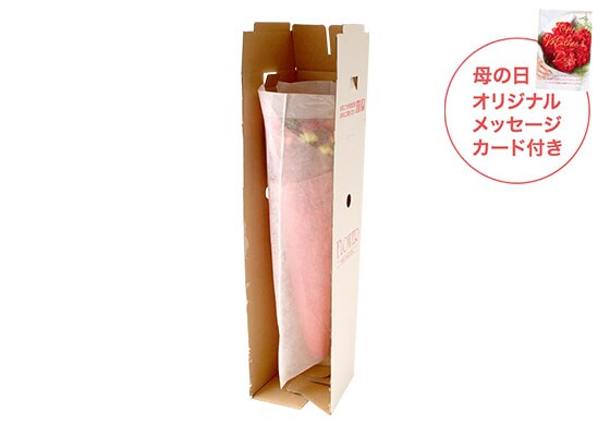 スタンディングブーケ ルビー お届けイメージ