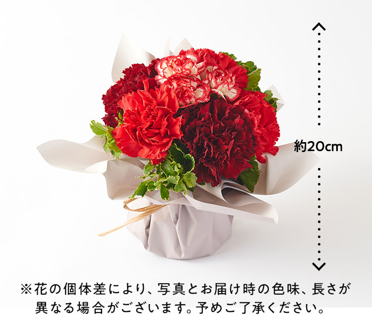 XC_[摜5