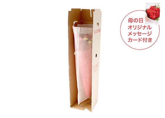 美しブーケ 芍薬&カーネーション お届けイメージ