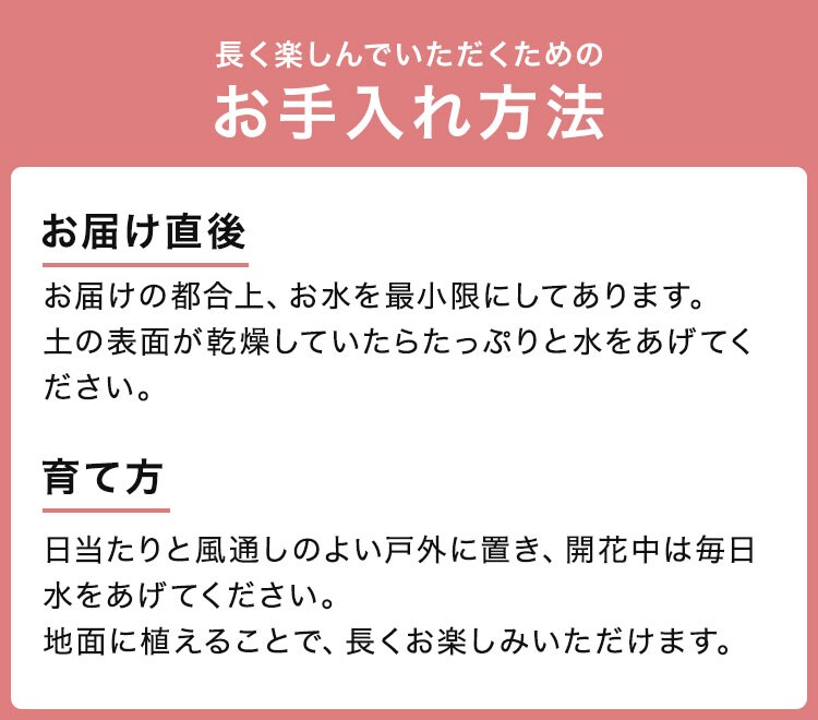 XC_[摜6