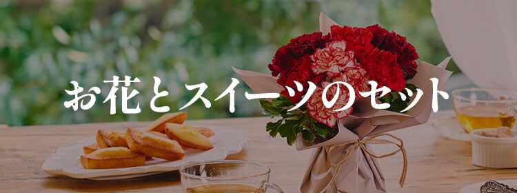 セットページ｜ 2024年 Oisix母の日ギフト特集