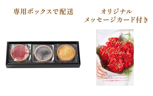3種のチーズタルト（柚子、チョコ、やまもも） お届けイメージ