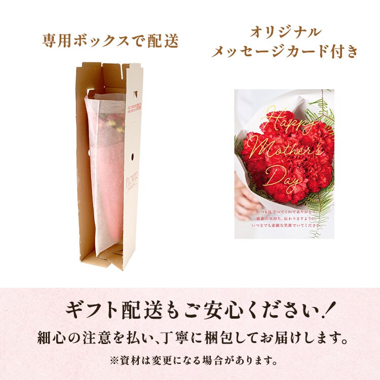 ジニア-植え付け-花-種-オレンジ-夏の色合い-100個