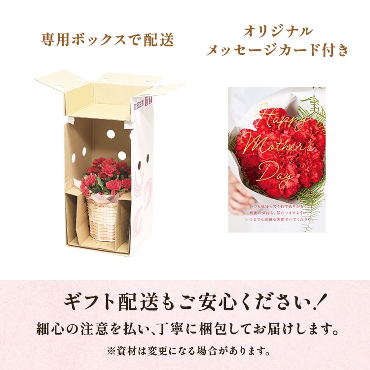スタンディングブーケ ピンク / サブレ&フィナンシェ ｜ 2024年
