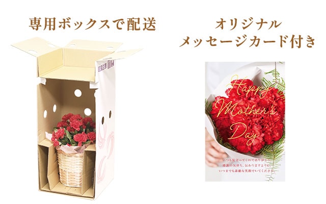 スタンディングブーケ ピンク  /  金沢涼果くずきり3種 お届けイメージ