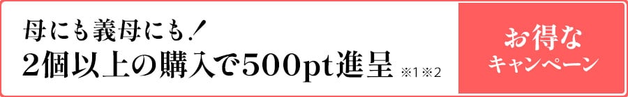 Qȏ̍w500pti