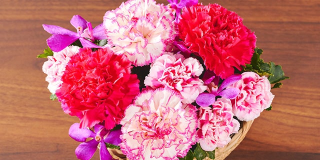 バスケットアレンジ ブライトピンク ｜ 2025年 Oisix母の日ギフト特集