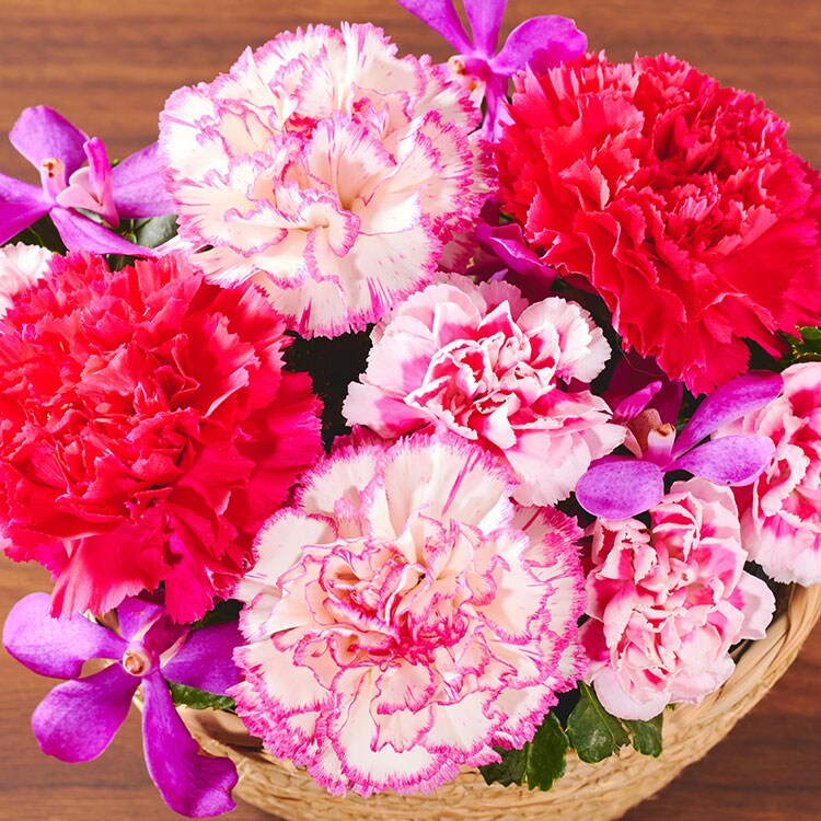 バスケットアレンジ ブライトピンク ｜ 2025年 Oisix母の日ギフト特集