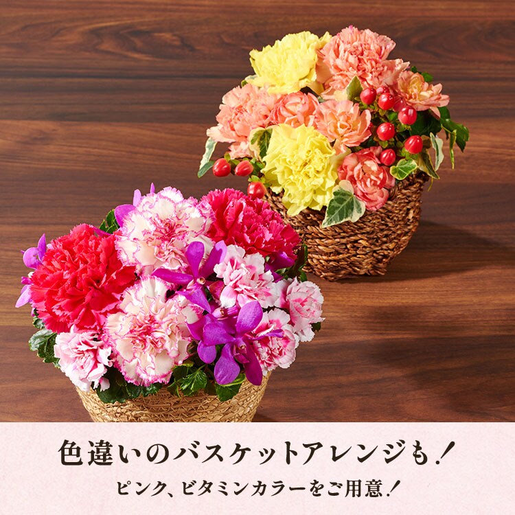 バスケットアレンジ ブライトピンク ｜ 2025年 Oisix母の日ギフト特集