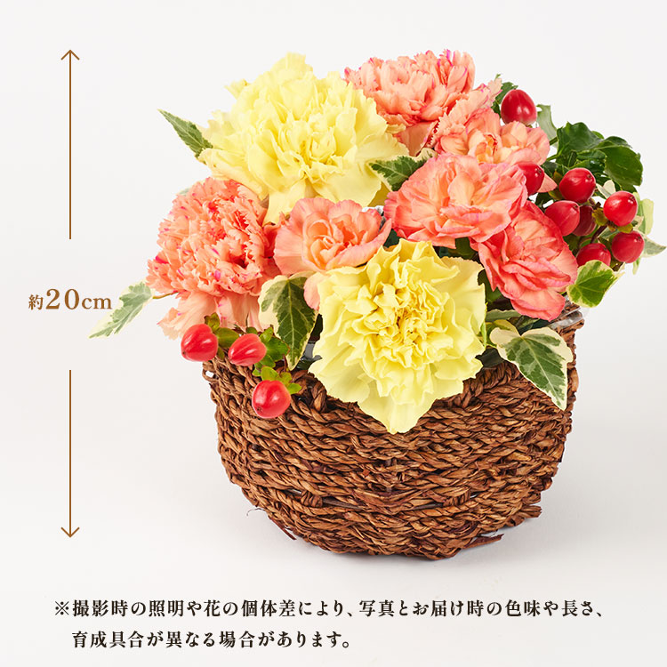 XC_[摜2