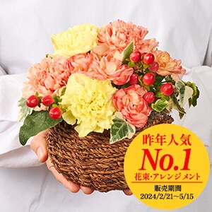 完売母の日ハートBOXアレンジ光触媒コーティング 母の日ギフト特集トップ ｜ 2025年 Oisix母の日ギフト特集