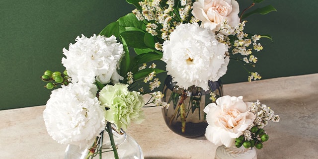 美しブーケプレミアム トルコ桔梗&カーネーション ｜ 2025年 Oisix母の