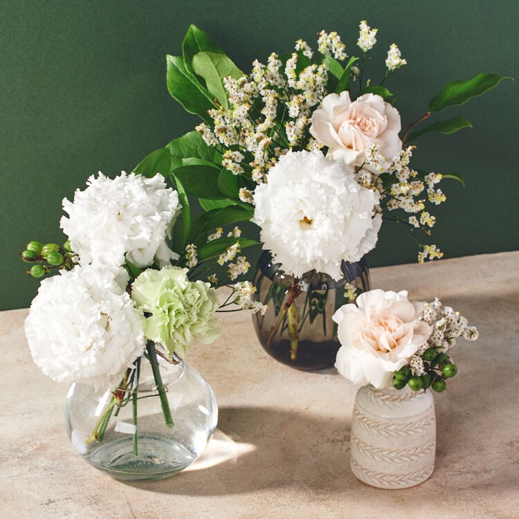 美しブーケプレミアム トルコ桔梗&カーネーション ｜ 2025年 Oisix母の