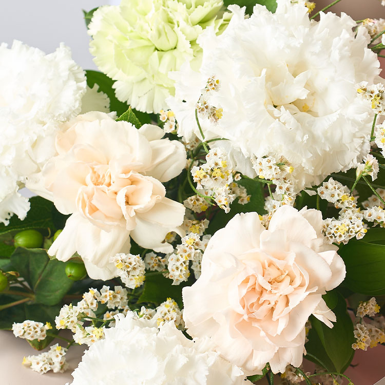 美しブーケプレミアム トルコ桔梗&カーネーション ｜ 2025年 Oisix母の