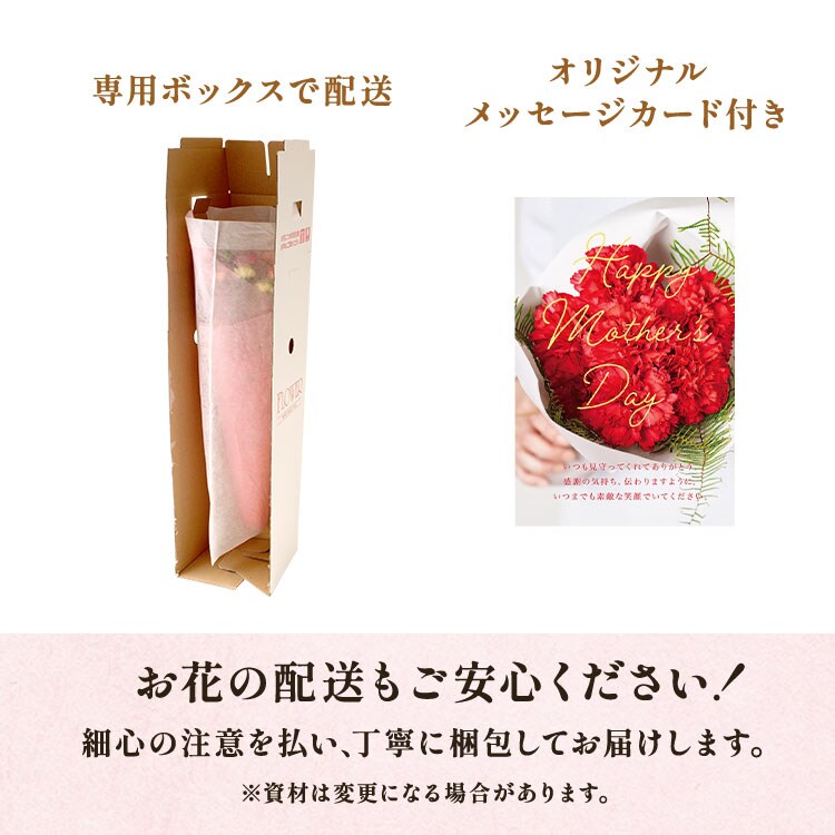 美しブーケプレミアム トルコ桔梗&カーネーション ｜ 2025年 Oisix母の