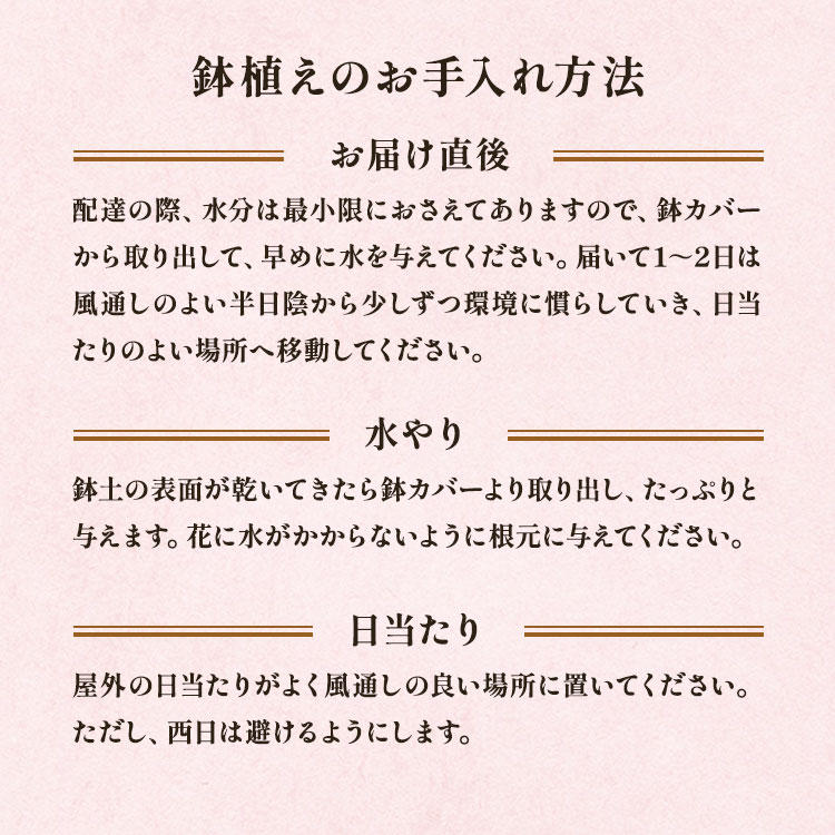 XC_[摜6