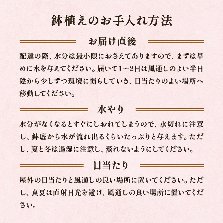 XC_[摜6