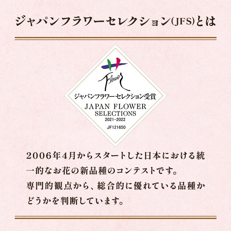 マーガレット様Bgrey1翌日発送 ゲブラナガトヨ オーダーページ / 【26春夏3月上旬納品