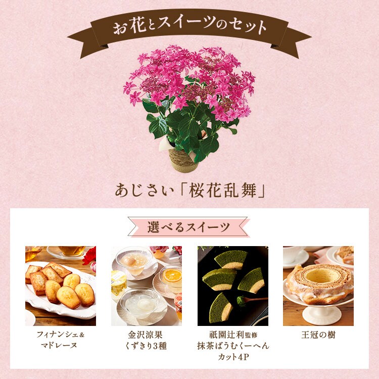 【専用ページ】桜花さま 桜花様 専用 - メルカリ