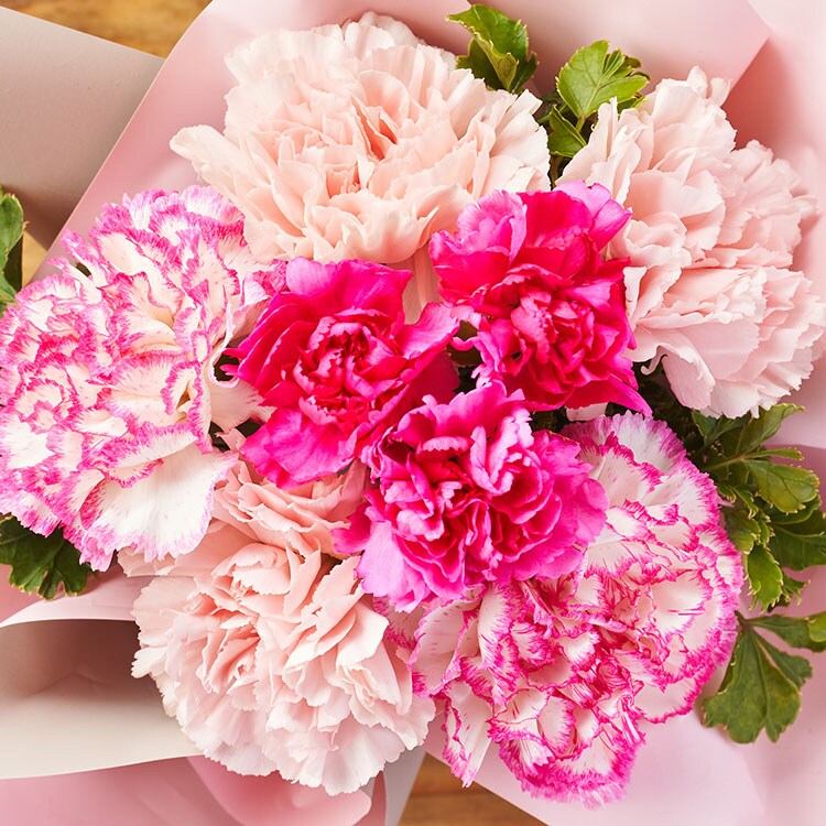 スタンディングブーケ ナチュラルピンク ｜ 2025年 Oisix母の日ギフト特集