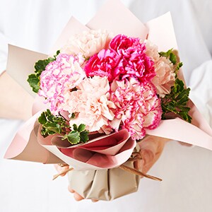 母の日ギフト特集トップ ｜ 2025年 Oisix母の日ギフト特集