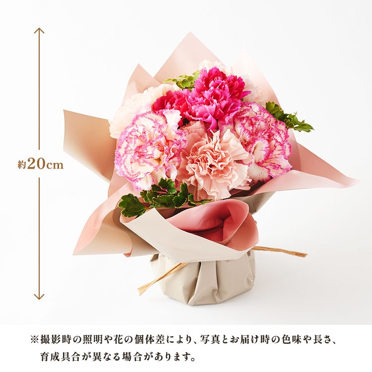 XC_[摜8