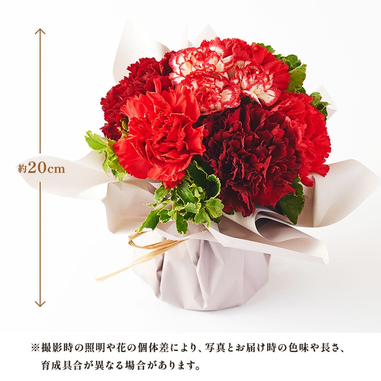 XC_[摜8