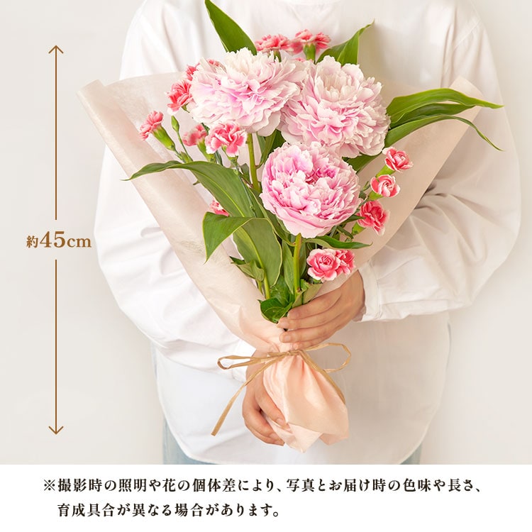 美しブーケ 芍薬&カーネーション ｜ 2025年 Oisix母の日ギフト特集