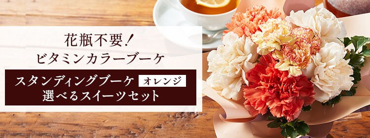 母の日ギフト特集トップ ｜ 2025年 Oisix母の日ギフト特集