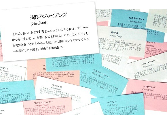 たくさんの商品カード
