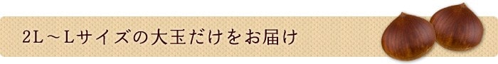 2L〜Lサイズの大玉だけをお届け