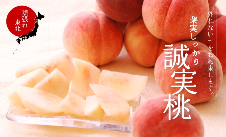 果物 momo 楽天市場】桃 もも 訳あり【6月16日から発送：山梨県 笛吹市