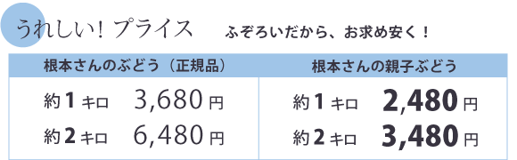 ꂵIvCX ӂ낢A߂₷I